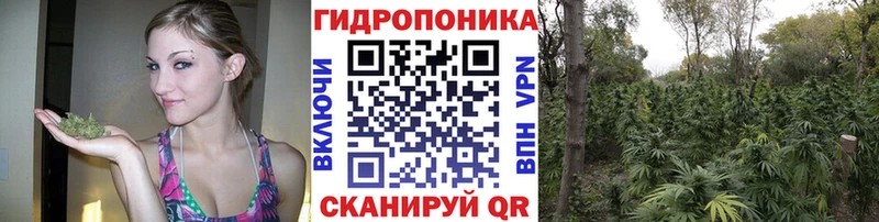 Бошки марихуана сатива  Купить где  Ликино-Дулёво 